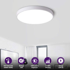 Ceiling light fixture in a room with specifications displayed below at fliptoled