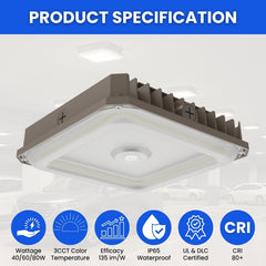 Ceiling light fixture with product specifications on a white background
