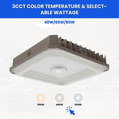 Ceiling light fixture with color temperature and wattage options on a white background