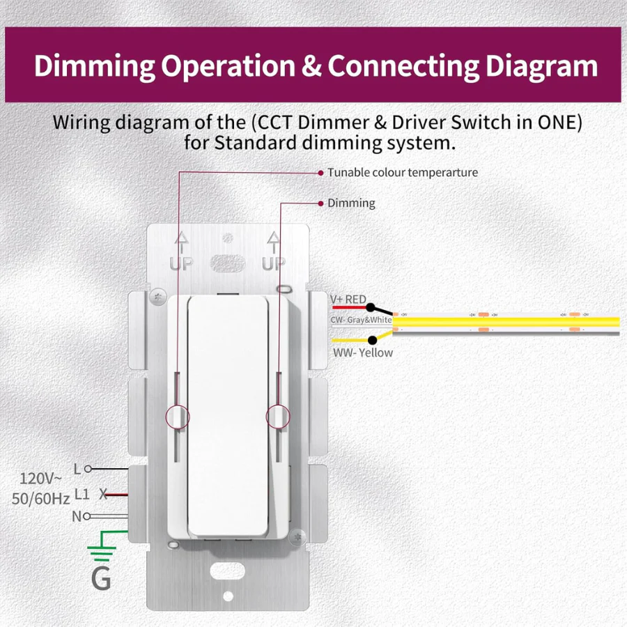 Wiring diagram of a CCT Dimmer & Driver Switch on a gray background