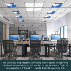 Modern office with computer desks and chairs, featuring a ceiling with sky panel design.