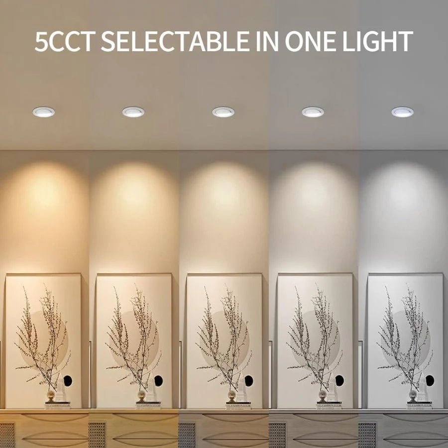 Light fixture with five different color temperatures displayed on a wall at fliptoled