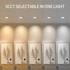 Light fixture with five different color temperatures displayed on a wall at fliptoled