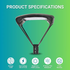 150W LED Outdoor Post Top Light Parking Lot Area Lighting Plaza Lighting Garden Lighting Type IV Distribution 5000K Daylight 19500LM AC100-277V ETL DLC Lighting Facts