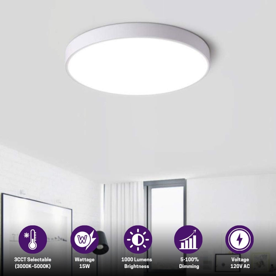 Ceiling light fixture in a room with specifications displayed below at fliptoled