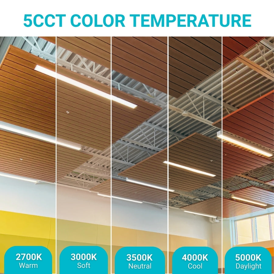 Ceiling with different color temperature lights and corresponding color temperature labels.