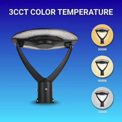 led pole lights with 3CCT color temperature options on a blue background