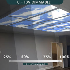 Ceiling with projected sky view and dimmable control indicators